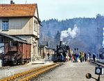 Nachdem 99 6001, die gerade am rechten Bildrand rangiert, in Alexisbad angekommen ist, wechseln die Fahrgäste in den Zug nach Straßberg oder genießen den Aufenthalt im Ferienort. (04.1981) <i>Foto: Karsten Risch</i>