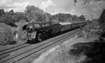 01 520 vor D 164 nach Hamburg am Stahnsdorfer Damm bei Berlin-Wannsee. (25.07.1968) <i>Foto: Burkhard Wollny</i>
