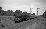 03 096 (Bw Berlin-Ostbf) vor D 118 am Stahnsdorfer Damm in Berlin-Wannsee. (25.07.1968) <i>Foto: Burkhard Wollny</i>
