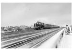39 125 vor dem Schnellzug Dresden - Köln bei Hannover. (1929) <i>Foto: Rudolf Kreutzer</i>