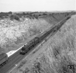 Zugbegegnung zwischen der Brith Rail Standard class 5MT 4-6-0 No. 73169 und der Diesel-Elektrischen Co-Co Diesellok D 1649 am Wallers Ash Tunnel zwischen Winchester und Basingstoke in Hampshire. (1966) <i>Foto: A.E.Durrant</i>