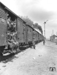 In aller militärischer Schlichtheit reisen diese deutschen Soldaten durch die Ukraine. Solche Komfortreisen haben wohl den unter Landsern bekannten Begriff des "Viehtransports" geprägt.  (1943) <i>Foto: RVM (Hollnagel)</i>
