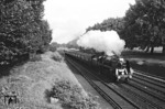 Die British Railways  No. 92220  "Evening Star" Class 9F (2-10-0) war die letzte Dampflok, die für die BR gebaut wurde. Eigentlich als Güterzuglok konstruiert, befördert hier die nagelneue Maschine einen Reisezug bei Clapham auf dem Weg nach Somerset. (05.1960) <i>Foto: Robin Fell</i>