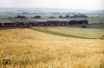 41 108 (Bw Kassel) vor Dg 5521 auf der Nord-Südstrecke zwischen Northeim und Kreiensen bei Salzderhelden. (28.07.1963) <i>Foto: Steve Glischinski</i>