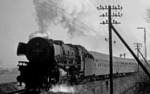 Der kurz zuvor aus Braunschweig umstationierten 001 190 war in Hof kein langes Leben beschieden: Nach nicht einmal einem halben Jahr Einsatzeit wurde sie hier am 18. August 1971 abgestellt. Im April 1971 donnert sie noch putzmunter vor E 658 durch den Bahnhof Marktschorgast. (12.04.1971) <i>Foto: Burkhard Wollny</i>