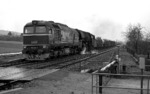 Um eine Lokleerfahrt nach Bebra zu sparen, spannte man die Erfurter 01 0520 in einem Güterzug hinter die Eisenacher V 200 234 (120 234). (03.04.1972) <i>Foto: Burkhard Wollny</i>