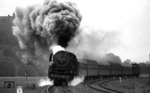 001 180 legt sich bei Kauerndorf (Kulmbach) vor E 1791 nach Hof elegant in die Kurve. Leider verräucherte die Lok das Fotomotiv mit der Plassenburg, so dass das Motiv an gleicher Stelle ein halbes Jahr später - zufällig mit gleicher Lok und Zug - wiederholt wurde (vgl. Bild Nr. 8873). (29.05.1972) <i>Foto: Burkhard Wollny</i>