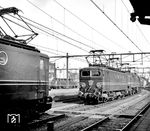 Im Bahnhof Arnheim hat sich neben den heimischen E-Loks NS 1145 und 1203 auch V 200 059 aus Hamm eingefunden. Sie wird hier den TEE 10 "Rheingold" bis Duisburg bespannen. (25.09.1965) <i>Foto: Jörg Schulze</i>