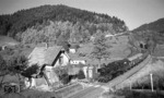 Perfekte Eisenbahnidylle mit 038 382 vor N 3977 nach Hausach im herbstlichen Kinzigtal bei Schenkenzell. (27.10.1973) <i>Foto: Burkhard Wollny</i>