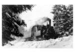 89 6019 auf der ehemaligen Kleinbahn Rennsteig - Frauenwald bei Frauenwald. (1959) <i>Foto: Sendel (Frauenwald)</i>