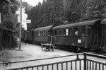 Ein Personenzug im Bahnhof Bad Teinach im Nagoldtal zwischen Calw und Wildberg. (1950) <i>Foto: A. Grieger</i>