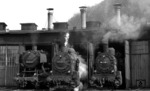 Die typischen Vertreter des Bw Dillenburg in den 1970er Jahren: Neben 051 920 (50 1920) warten 094 533 (94 1533) und 094 538 (94 1538) vor dem Schuppen ihrer Heimatdienststelle. (02.04.1971) <i>Foto: Burkhard Wollny</i>