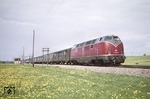 V 200 105 vor D 96 (München - Genf) auf der Allgäubahn bei Hergatz. (05.1964) <i>Foto: Slg. Eisenbahnstiftung</i>