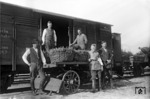Versand der bekannten Heidekrautgewächse in der für seine  Rhododendronfesttage bekannten Kreisstadt Westerstede im Ammerland (Niedersachsen). (1931) <i>Foto: RVM</i>