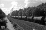 93 897 verlässt mit einem Kesselwagenzug aus der Erdöl-Raffinerie Emsland den Bahnhof (Lingen-) Holthausen in Richtung Rheine. (1960) <i>Foto: Quebe</i>