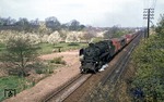 042 308 (41 308) vor Sg 41441 aus Oldenzaal (NL) in der frühlingshaften Landschaft bei Rheine-Bentlage. (20.04.1974) <i>Foto: Wolfgang Bügel</i>