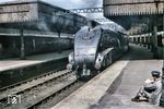 Die Ruhe vor dem Sturm genießt der Lokführer der LNER class A4 No. 60024 "KINGFISHER" mit einer kleinen Pause auf dem Bahnsteig in Aberdeen. Die class A4 der britischen London and North Eastern Railway (LNER) waren Schnellzugdampfloks der Achsfolge 2'C1' ("Pacific"). Die Lok "Mallard" dieser Baureihe stellte am 3. Juli 1938 mit 201,2 km/h den bis heute offiziellen Geschwindigkeitsweltrekord für Dampflokomotiven auf, der allerdings im Vergleich mit dem zwei Jahre früher aufgestellten Rekord der deutschen 05 002 (200,4 km/h) umstritten ist. (05.1966) <i>Foto: Robin Fell</i>
