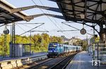 Pünktlich erreicht der EC 174 aus Prag mit CD 193 293 den Bahnhof Rendsburg. (02.09.2023) <i>Foto: Thorsten Eichhorn</i>