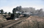 44 0614 mit einem Ölzug in der Schorfheide westlich Chorin zwischen Eberswalde und Angermünde. (16.09.1979) <i>Foto: Wolfgang Bügel</i>
