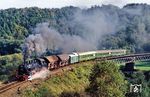 86 1333 mit einem Sonderzug auf der Muldebrücke bei Rochlitz. (30.09.1990) <i>Foto: Slg. Wolfgang Bügel</i>