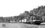 110 849 mit Schwesterlok 110 860 (beide vom Bw Aue) auf der "Erzgebirgischen Aussichtsbahn" mit einem Güterzug von Schwarzenberg (Sachs) nach Annaberg-Buchholz bei Walthersdorf.  (30.06.1987) <i>Foto: Thomas Fischer</i>