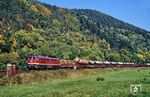 132 012 vom Bw Saalfeld (Saale) mit einem Güterzug bei Uhlstädt. (03.10.1990) <i>Foto: Wolfgang Bügel</i>