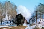 50 3661 (Bw Karl-Marx-Stadt/Est Döbeln) mit Ng 62335 am Waldheimer Tunnel. (23.02.1983) <i>Foto: Thomas Fischer</i>