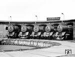 Lokparade mit den im Bw Angermünde beheimateten Ölloks 50 0020, 50 0038, 50 0028, 50 0011 und 50 0035. (08.08.1981) <i>Foto: Hans-Jürgen Trunk</i>