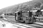100 433 (ex Kö 4433) als örtliche Rangierhilfe in Stadtilm. Im Hintergrund sind 01 0531, 01 0522 (mit abgerissenem Treibzapfen) und 44 0689 als ausgemusterte Lokomotiven des Bw Saalfeld abgestellt. 01 0531 wurde später wieder zu neuem Leben als kohlegefeuerte Lok erweckt. (07.08.1982) <i>Foto: Thomas Fischer</i>
