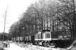 Für den Fotografen wohl etwas enttäuschend erschien der Ng 67092 anstelle mit zwei 99ern 'nur' mit 199 871 am Haltepunkt Birkenmoor. Mitte der 1980er Jahre beabsichtigte die Deutsche Reichsbahn, den Betrieb der Schmalspurbahnen im Harz weitgehend zu verdieseln. Dazu sollten 30 Lokomotiven der Baureihe 112 auf Schmalspur umgebaut werden. Aufgrund ihres schaukelnden Fahrverhaltens erhielten sie schnell den Spitznamen "Harzkamel". Nach der politischen Wende in der DDR wurde schnell erkannt, dass aus touristischen Gründen der Dampfbetrieb im Harz beibehalten werden sollte. Somit blieb es bei nur zehn umgebauten Loks der Baureihe 199. (02.12.1989) <i>Foto: Thomas Fischer</i>