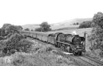 41 1180 mit P 6017 (Jena - Gera) bei Gernewitz nahe Stadtroda. (12.07.1984) <i>Foto: Thomas Fischer</i>