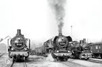 44 1182 des Bw Gera ist mit der ebenfalls aus Gera stammenden 38 1182 zu Gast in Erfurt West. Daneben steht die ehemalige Lok 6 des VEB Industriebahn Erfurt, ex 74 231. 1999 wurde sie an den Verein Museums-Eisenbahn Minden verkauft und dort als T 11 "Hannover 7512" umgezeichnet. In Erfurt West sind der Lokschuppen und die Gleise heute verschwunden. Heute stehen hier Einfamilienhäuser. (18.10.1986) <i>Foto: Thomas Fischer</i>