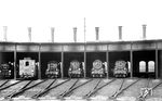 1929 fanden sich Maschinenbaustudenten der Technischen Hochschule Darmstadt zusammen, um das "Lokomotivbildarchiv des Verkehrszentralamtes der Deutschen Studentenschaften" (DLA) zu gründen. Zu den Gründungsmitgliedern gehörte Hermann Maey, der es für das Foto im Bw Darmstadt mit den dort stationierten 91 394, 89 7381, 38 3430, 38 2641, 38 3071 und 38 3070 nicht weit hatte. (1929) <i>Foto: Hermann Maey</i>