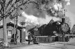 38 234 (Bw Karl-Marx-Stadt Hbf) leistet einer preußischen G 12 Vorspann vor einem Güterzug in Böhringen zwischen Roßwein und Berbersdorf auf der Strecke nach Niederwiesa. (04.1957) <i>Foto: Privatfoto</i>