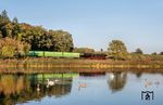 Idylle an der aufgestauten Mauch mit 52 8168 und dem Hackschnitzelzug DSG 59969 bei Fremdingen. (22.09.2026) <i>Foto: Joachim Schmidt</i>