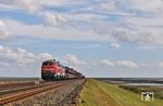 Überraschend gab es 2026 tatsächlich noch den Klassiker auf dem Hindenburgdamm: Die verkehrsroten 218 390 und 218 385 gemeinsam am AS 1426 nach Westerland (Sylt). (26.08.2026) <i>Foto: Joachim Bügel</i>