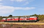 218 385 und 218 390 mit AS 1441 bei Morsum. Beide Loks befinden sich im betrieblichen Endstadium, scheinen aber weiter vor den Autozügen unverzichbar zu sein. 218 385 (Henschel, Baujahr 1975) hatte nach mehrfachen Fristverlängerungen am 02.09.2025 nochmals eine IS600-Auslaufuntersuchung im Werk Cottbus erhalten, 218 390 (MaK, Baujahr 1975) in Niebüll eine zweite Fristverlängerung bis 09.04.2027. (26.08.2026) <i>Foto: Joachim Bügel</i>
