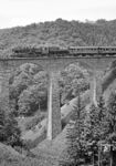 50 3061 als Schlusslok am Sonderzug mit 38 2383 auf dem 1909 eröffneten Pleiner Viadukt. Am Ende des Zweiten Weltkriegs zerstört, war die Bahnstrecke erst im Dezember 1953 wieder befahrbar. 1981 wurde der Personenverkehr nach Daun eingestellt. Der Güterverkehr rollte noch bis 1988 auf der Strecke. Bis 1990 wurde die Strecke komplett abgebaut. Die Trasse wurde zum Maare-Mosel-Radweg umgebaut.  (04.06.1972) <i>Foto: Wolfgang Bügel</i>