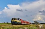 Ein Lichtblick vor dunklem Hintergrund war 218 330, die mit RE 11068 (Niebüll - Westerland/Sylt) bei Morsum unterwegs war. (31.08.2026) <i>Foto: Joachim Bügel</i>