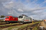 Im Bahnhof Westerland (Sylt) trifft 245 024 auf 248 503, die mit Tz 1810 den ICE 2311 bereitstellt. (01.09.2026) <i>Foto: Joachim Bügel</i>
