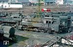 65 009 vom Bw Limburg (Lahn) zu Gast im Bw Dillenburg. Ab Mai 1967 war die Lok dann hier auch stationiert. (09.1966) <i>Foto: Rolf Hahmann</i>
