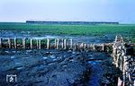 Bei Ebbe geht es für eine Altonaer 01.10 vor dem D 572 nach Hamburg-Altona über den Hindenburgdamm Richtung Festland. (09.1968) <i>Foto: Jürgen Hagemann</i>