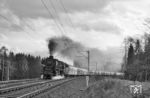 Die Kasselaner 01 1081 röhrt mit dem D 183 (Basel SBB - Wilhelmshaven) in Höhe der Bk Wasserscheide am Fotografen vorbei. Eine Woche später wurde hier elektrisch gefahren. (12.03.1967) <i>Foto: Reinhard Gumbert</i>