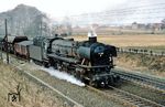 Unübertroffen ist wohl die Bedeutung der Baureihe 41 während ihres Einsatzes auf der Rollbahn zwischen dem Ruhrgebiet und Hamburg. Die Betriebswerke Kirchweyhe und Osnabrück beheimateten zeitweise an die 100 Maschinen der Baureihe 41, um den Güterverkehr zu bewältigen. Die zum Bw Kirchweyhe gehörende 41 320 ist hier mit einem Güterzug bei Vehrte unterwegs. (19.03.1968) <i>Foto: Robin Fell</i>