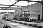 Die fabrikneuen V 60 503, V 60 504 und V 60 501 im Bw Trier. Die Loks waren zum Aufnahmedatum erst 3 Wochen alt. (11.09.1959) <i>Foto: Basil Roberts</i>