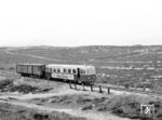 Triebwagen T 24 (Talbot, 1949) mit Stückgutwagen GG 52 auf der Sylter Nordstrecke zwischen Klappholttal und Vogelkoje. Der Triebwagen war 1958 von der Eckernförder Kreisbahn nach Sylt gekommen und ging nach Ende der Kleinbahn 1971 an die Juister Inselbahn. (07.09.1968) <i>Foto: Reinhard Todt</i>