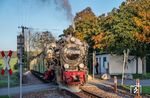 99 4631 mit dem „Nordstrecken-Zug“ in Posewald. (16.10.2026) <i>Foto: Joachim Schmidt</i>