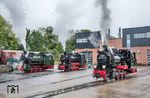 Am 17. Oktober 2026 wurde die wieder in Betrieb genommene 99 4631 anlässlich der "Vulcantage auf Rügen" offiziell vorgestellt. Daneben zeigten sich an der Betriebswerkstatt der RüBB in Putbus die ebenfalls bei Vulcan in Stettin gebauten 53 Mh (99 4633) und 99 4632. (17.10.2026) <i>Foto: Joachim Schmidt</i>