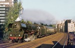 03 0088 mit der morgendlichen Frühverbindung des Ex 1316 "Berlinaren" von Berlin-Zoo nach Malmö bei der Durchfahrt in Bellevue. (15.08.1976) <i>Foto: Joachim Bügel</i>