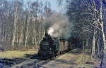 99 6102 (ehemalige Lok 7 der  Nordhausen-Wernigeroder Eisenbahn-Gesellschaft / NWE) fährt mit GmP 69711 in den Haltepunkt Sternhaus-Haferfeld ein. (04.04.1977) <i>Foto: Joachim Bügel</i>